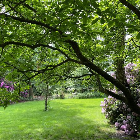 Landgoed Dennenholt - 5 Unique Holiday Homes フィールハウテン 部屋 写真