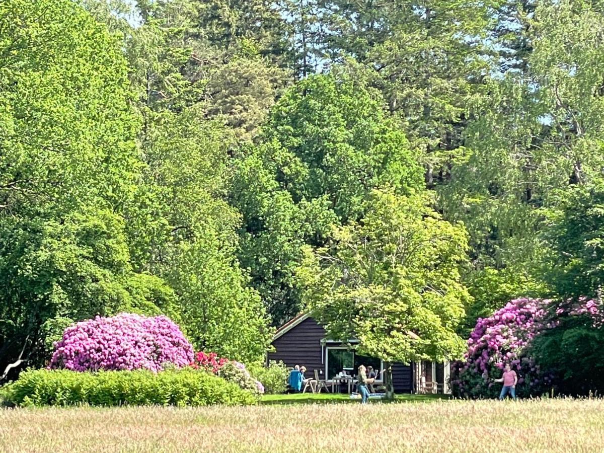 Landgoed Dennenholt - 5 Unique Holiday Homes フィールハウテン エクステリア 写真