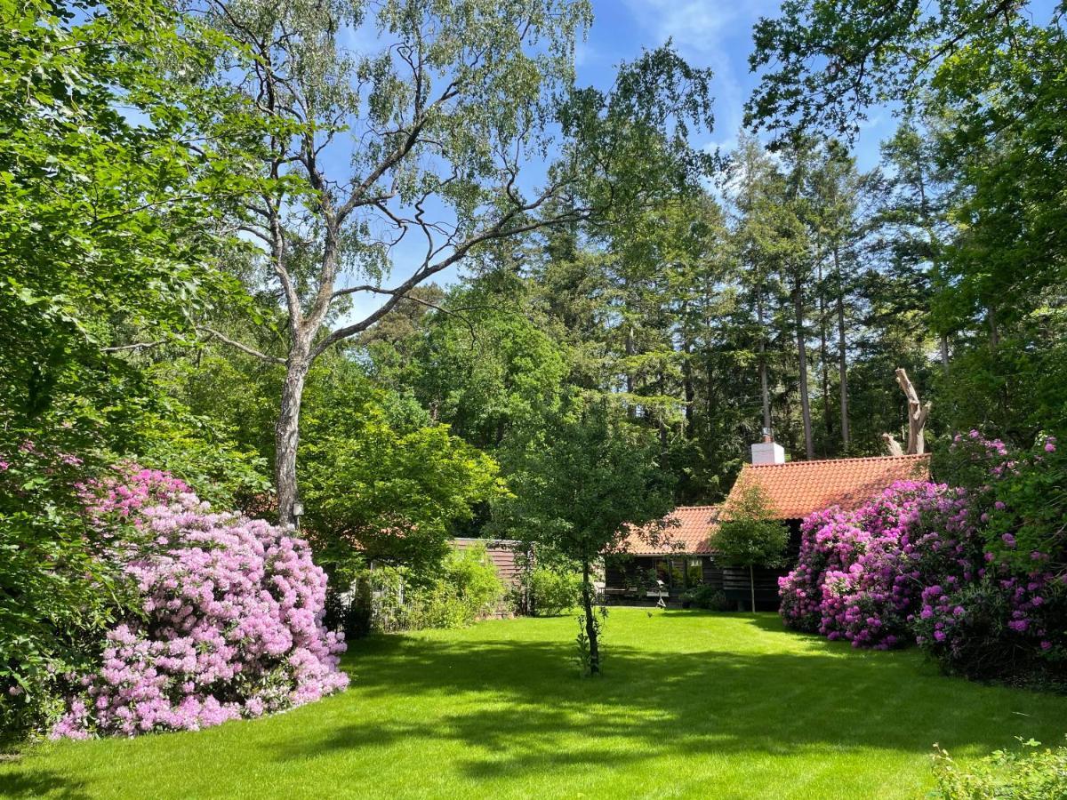 Landgoed Dennenholt - 5 Unique Holiday Homes フィールハウテン エクステリア 写真