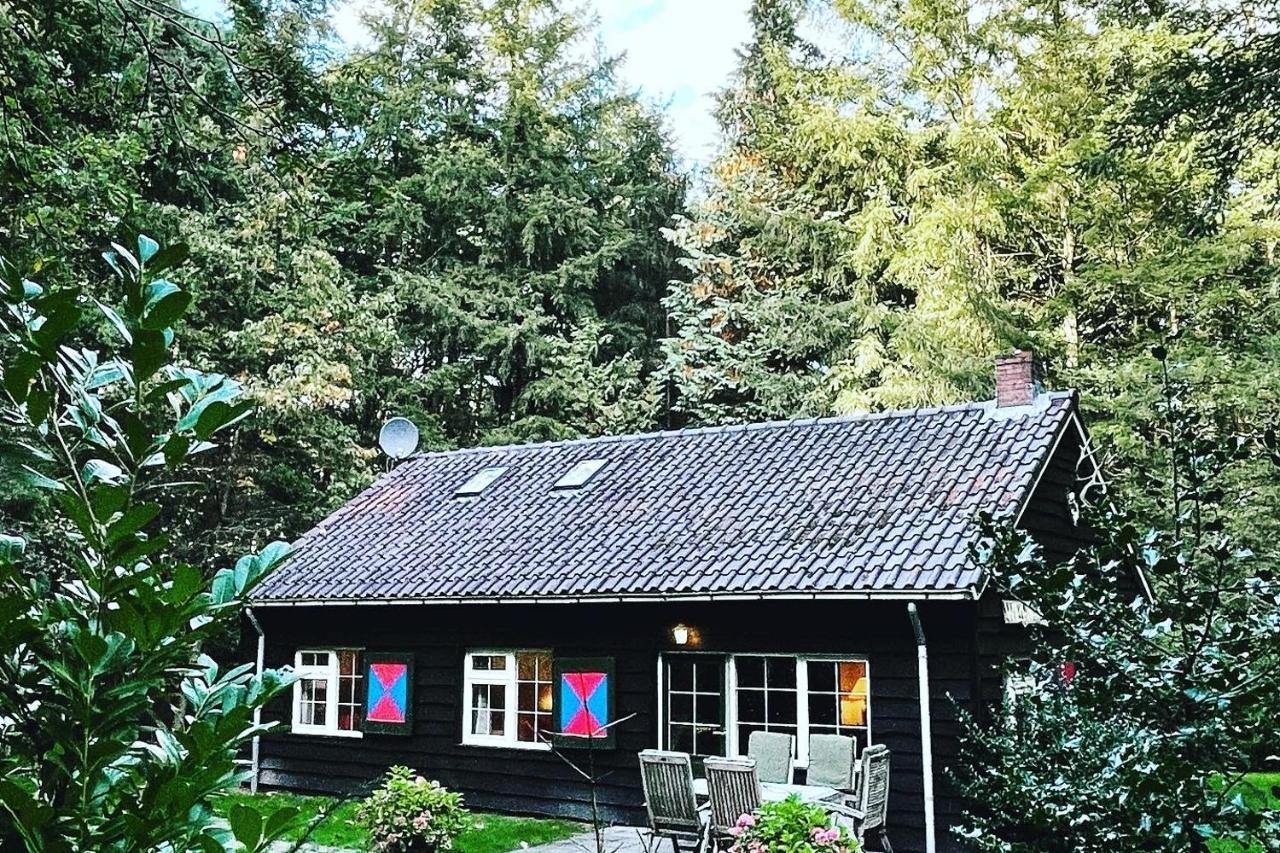 Landgoed Dennenholt - 5 Unique Holiday Homes フィールハウテン エクステリア 写真