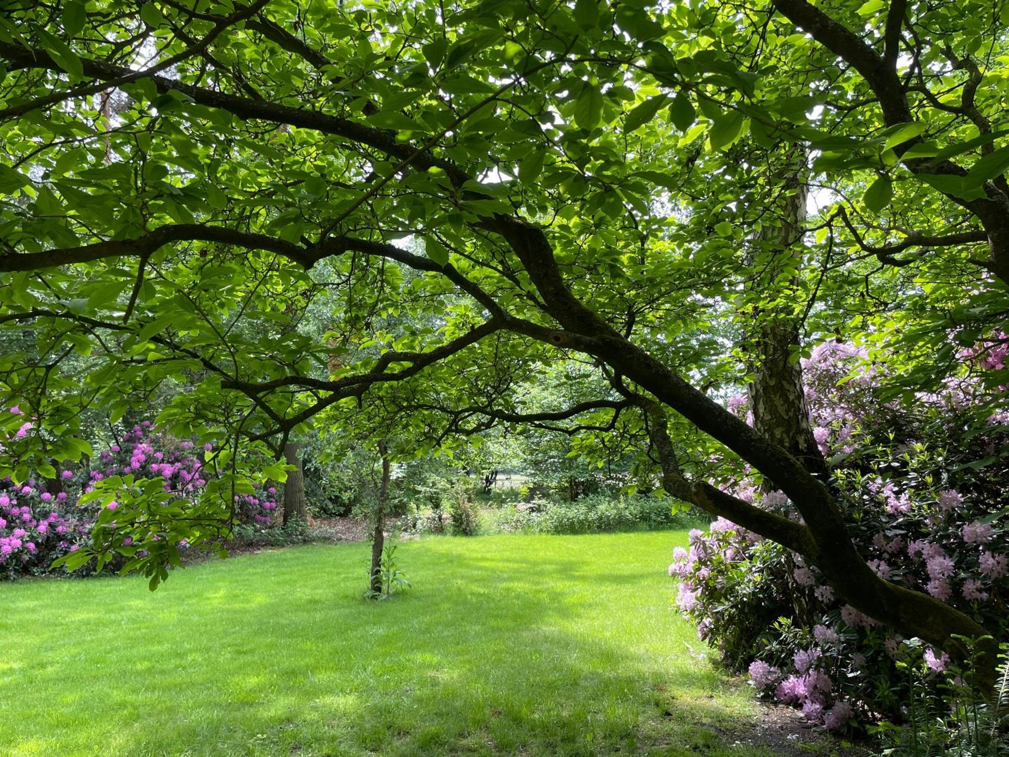 Landgoed Dennenholt - 5 Unique Holiday Homes フィールハウテン 部屋 写真