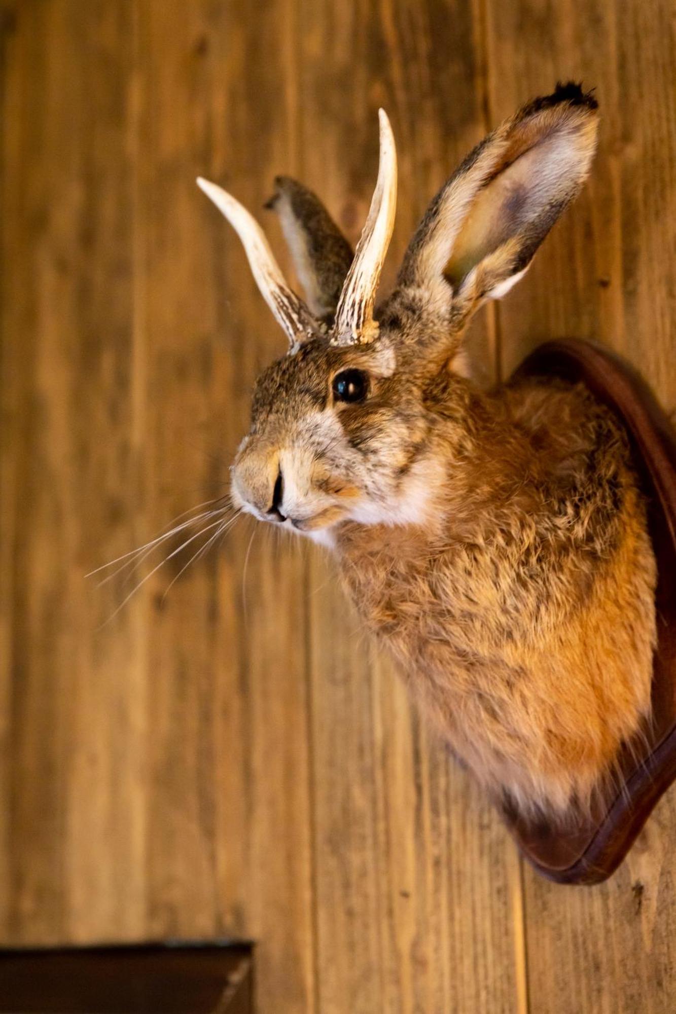 Landgoed Dennenholt - 5 Unique Holiday Homes フィールハウテン 部屋 写真