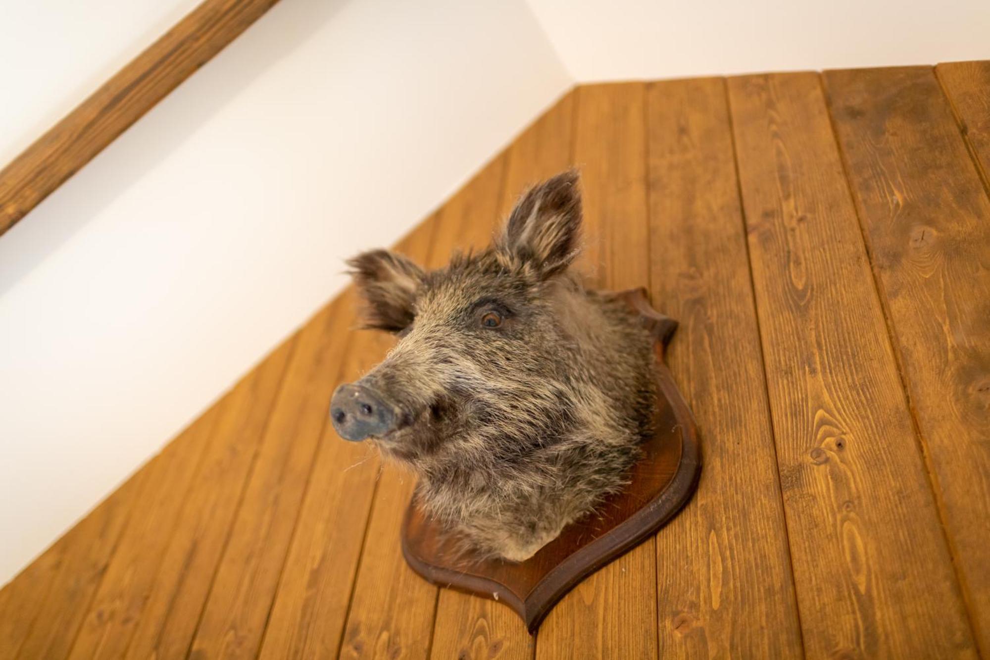 Landgoed Dennenholt - 5 Unique Holiday Homes フィールハウテン 部屋 写真