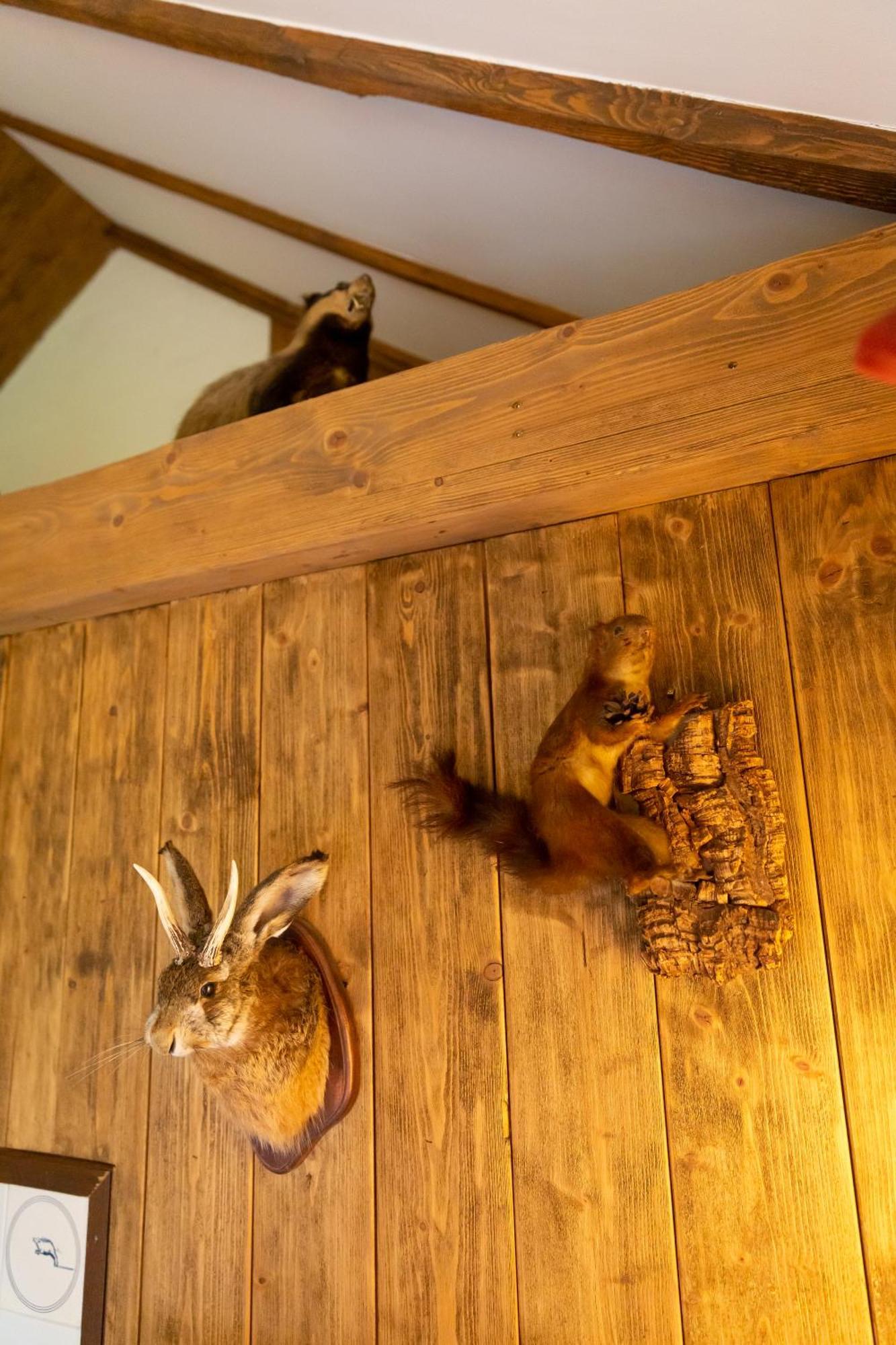 Landgoed Dennenholt - 5 Unique Holiday Homes フィールハウテン 部屋 写真